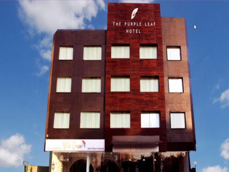 The Purple Leaf Hotels Hyderabad Bagian luar foto